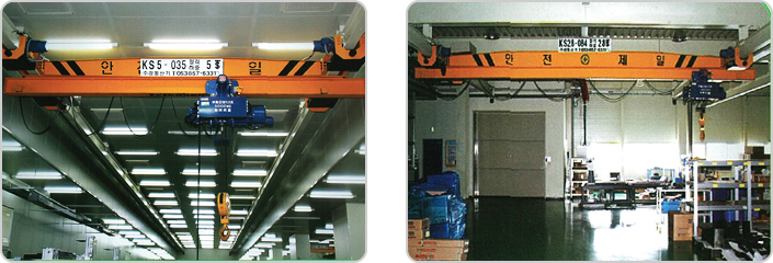 Suspension hoist crane