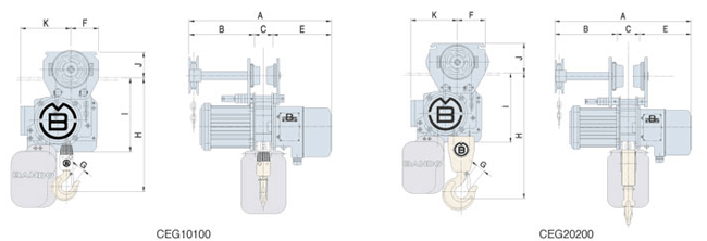 Chain Economic Type-CEG